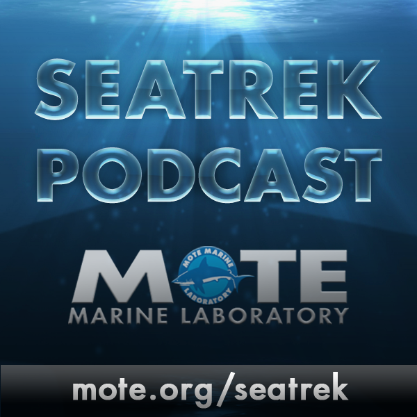 SeaTrek Podcasts